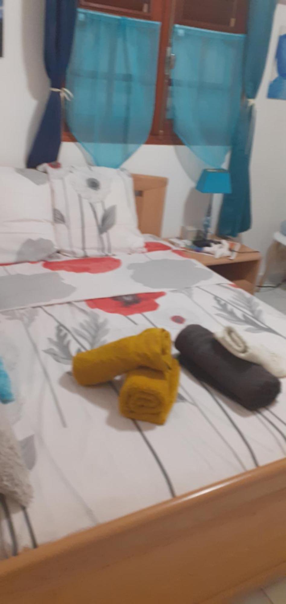 Baillif Le P'Tit Nid Cocodydy 아파트 외부 사진